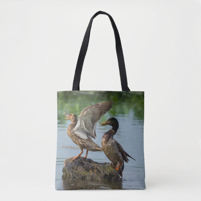 Bolso De Tela Disculpa (Anverso)