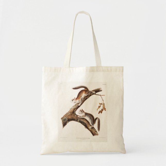 Bolso De Tela Downy Brown Squirrel House (Frente)