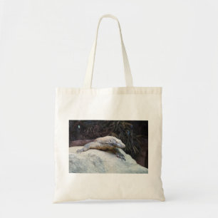 Bolso De Tela Dragón Komodo