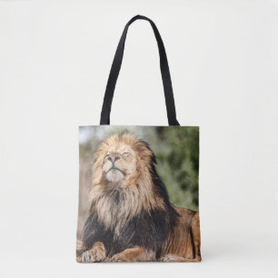 Bolso De Tela El baño de sol de los leones masculinos