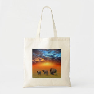 Bolso De Tela El futuro es brillante