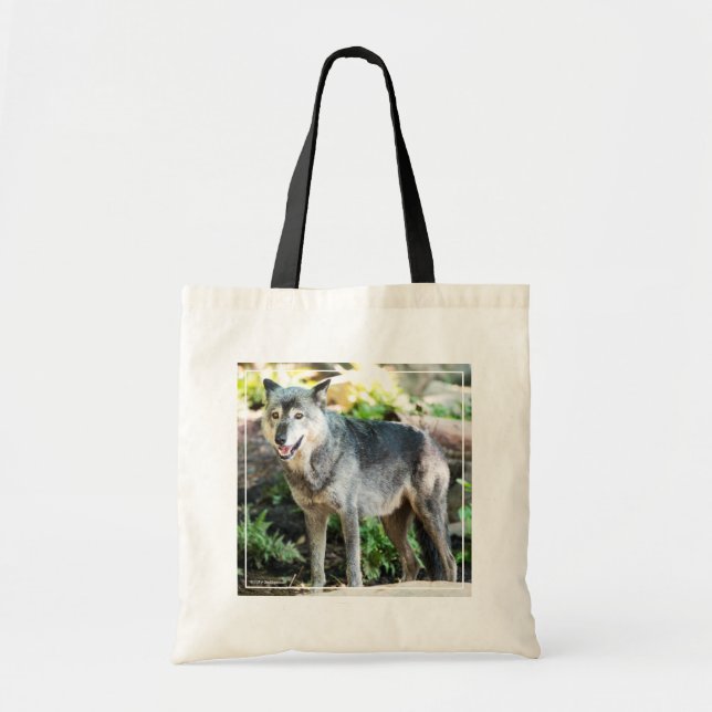 Bolso De Tela El lobo gris está solo (Frente)