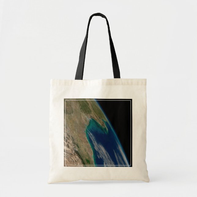 Bolso De Tela El Norte Del Golfo De México. (Frente)