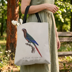 Bolso De Tela El periquito pintado, Pyrrhura Picta