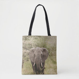 BOLSO DE TELA ELEFANTE VIENDO UN COCHE DE TURISMO