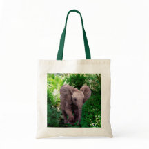 Elefante y selva