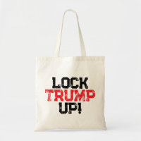 Encerrar a Trump Políticamente