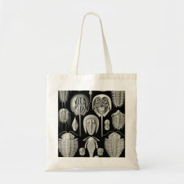 Bolso De Tela Ernst Haeckel Aspidonia