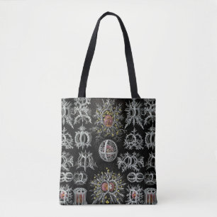Bolso De Tela Ernst Haeckel Stephoidea
