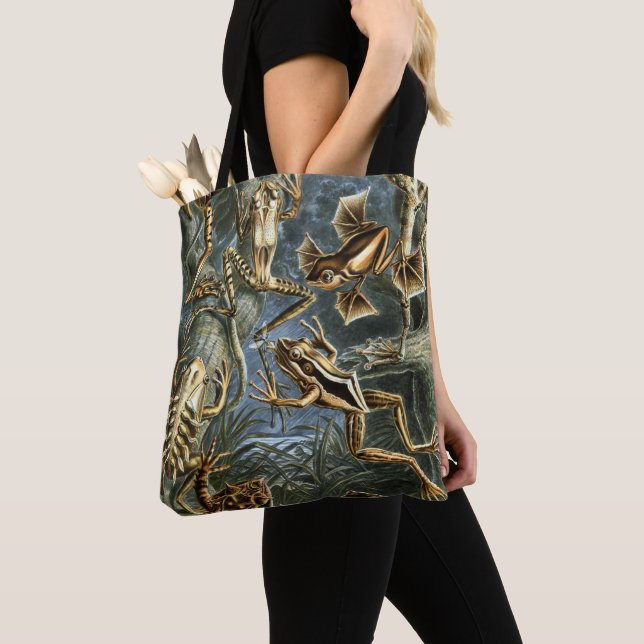 Bolso De Tela Ernst Haeckel variedad de ranas exóticas:Batrachia (Detalle)