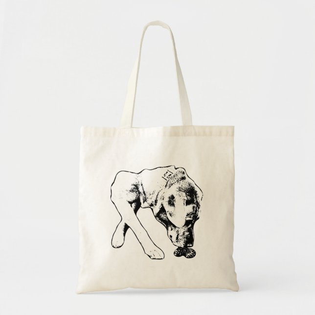Bolso De Tela Exploración entintada en marcha (Frente)