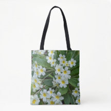 Floral de Primroses blancos