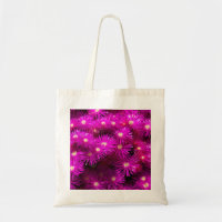 Flores de Aster Rosa