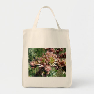 Bolso De Tela Flores Hen y Chicks (Sempervivum) Tote Bag
