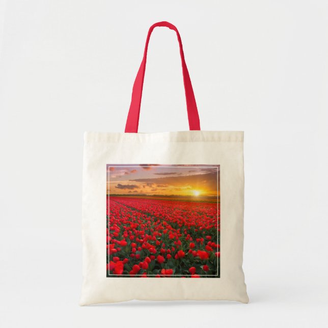 Bolso De Tela Flores | Jardín Botánico Holanda (Frente)