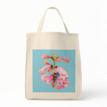 Flores rosadas y violetas