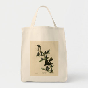 Bolso De Tela Flycatcher oncoso, las aves de América de Audubon