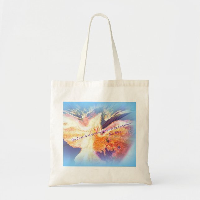 Bolso De Tela Flying19 (Frente)