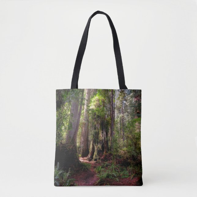 Bolso De Tela Forests | Redwood Forest California (Anverso)