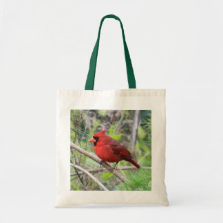 Bolso De Tela Foto cardinal septentrional