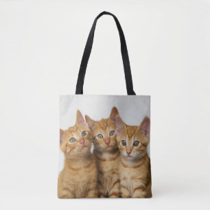 Bolso De Tela Foto linda de tres del jengibre gatitos del gato -
