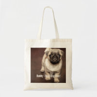 Foto personalizada del perro del barro amasado y
