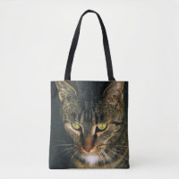 FOTOGRAFÍA CERRADA DEL GATO DE TABBY GRIS