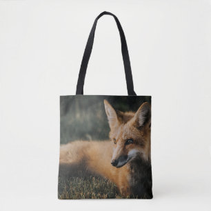 BOLSO DE TELA FOX MARRÓN SOBRE EL TERRENO