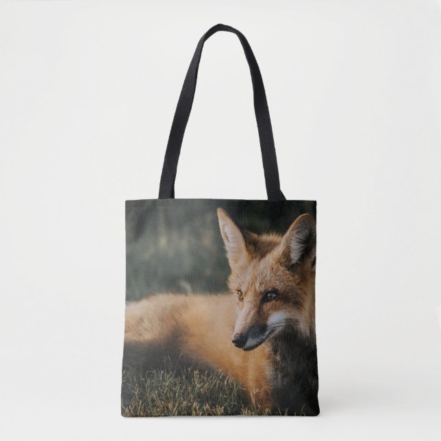 BOLSO DE TELA FOX MARRÓN SOBRE EL TERRENO (Anverso)