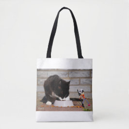 Bolso De Tela Fubby schoonmaken met de bezem bij etende Kat.
