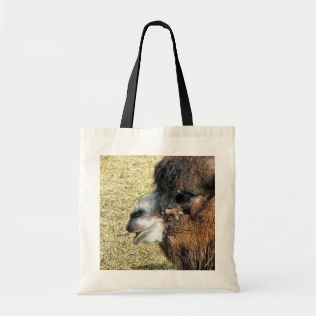 BOLSO DE TELA FUNNY CAMEL (Frente)