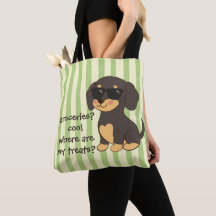 Gafas de sol divertidas para Dachshund genial con