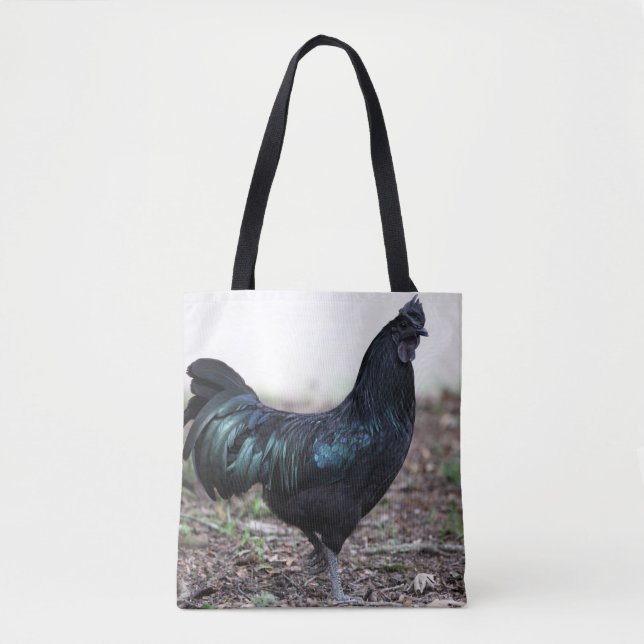 Bolso De Tela Gallo del pollo del negro del pollo de Ayam Cemani (Anverso)