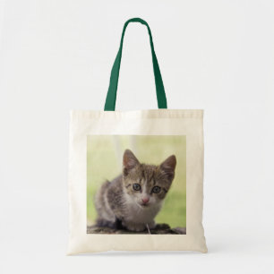 Bolso De Tela Gatito
