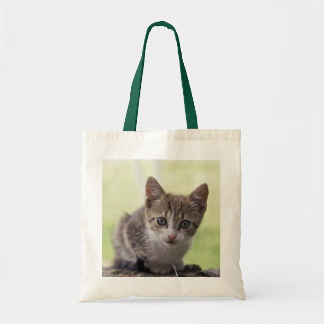 Bolso De Tela Gatito (Frente)