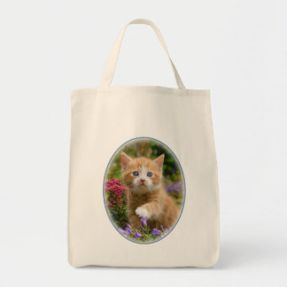 Bolso De Tela Gatito de jengibre en un jardín