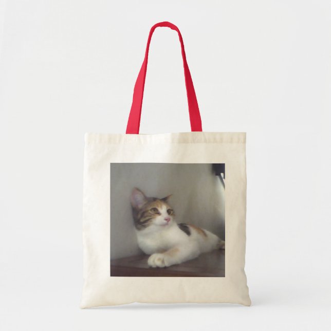 Bolso De Tela Gatito del calicó (Frente)