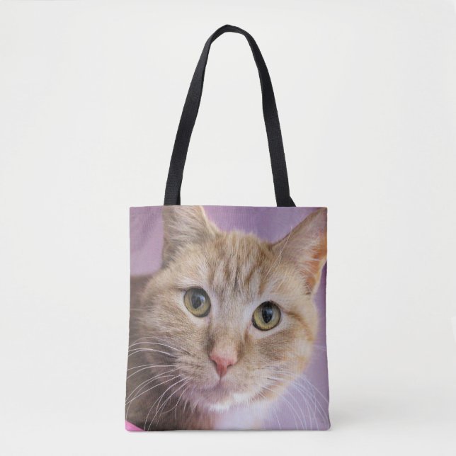 Bolso De Tela Gato (Anverso)