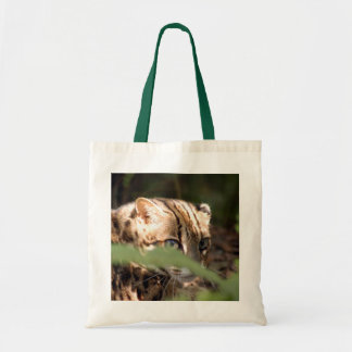 Bolso De Tela Gato 008 de Bengala