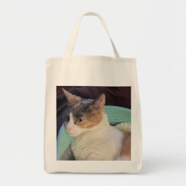 Bolso De Tela Gato de Calico en la cama de gato