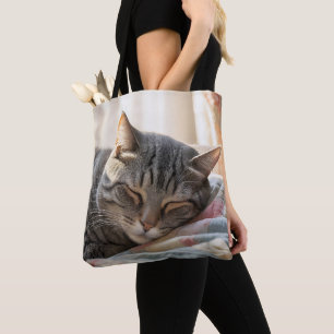 Bolso De Tela Gato De Pestaña Durmiendo Sobre El Viejo Tejido