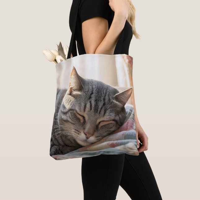 Bolso De Tela Gato De Pestaña Durmiendo Sobre El Viejo Tejido (Detalle)