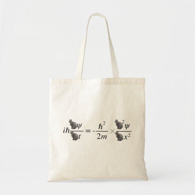 Bolso De Tela Gato de Schrodinger (Frente)