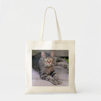 Bolso De Tela Gato de Tabby de Brown al aire libre