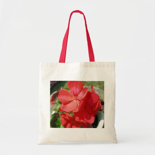 Bolso De Tela Geranium (Frente)