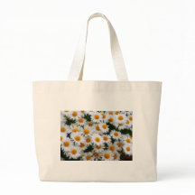 Amantes de la margarita IMG_0066