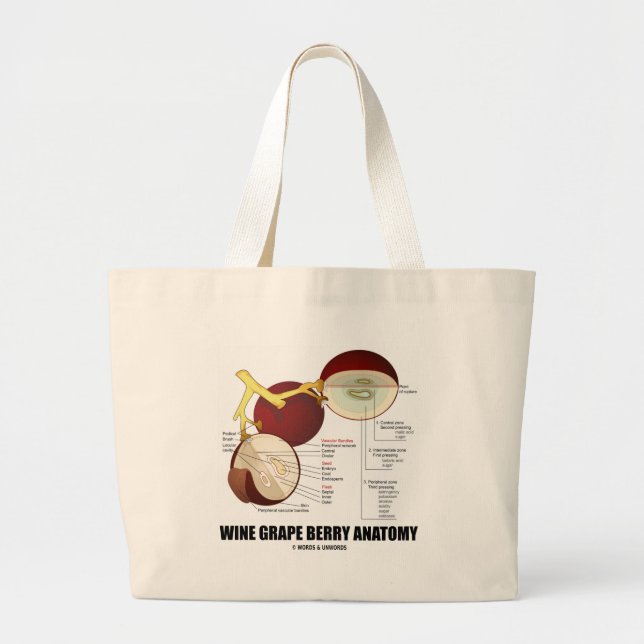 Bolso De Tela Gigante Anatomía de la baya de la uva de vino (diagrama (Frente)