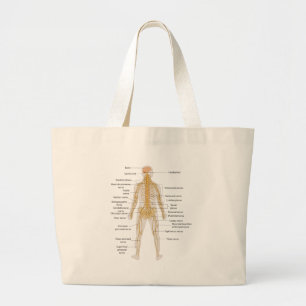 Bolso De Tela Gigante Diagrama del sistema nervioso del cuerpo humano
