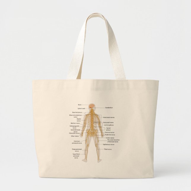 Bolso De Tela Gigante Diagrama del sistema nervioso del cuerpo humano (Frente)