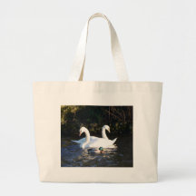 Dos cisnes y un pato